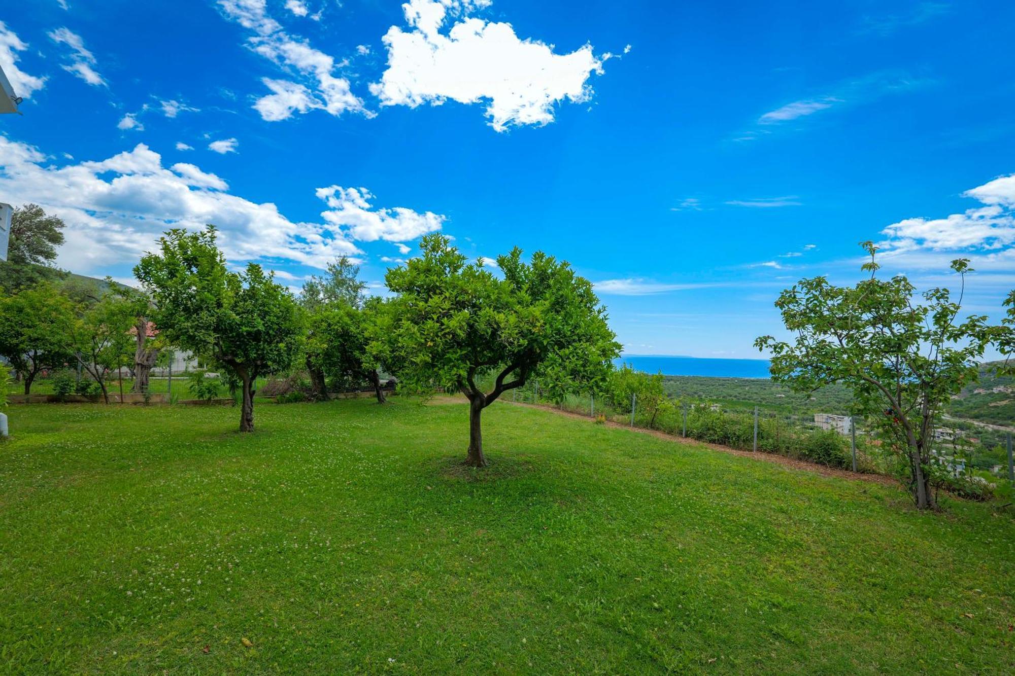 Villa Pargua Borsh Extérieur photo